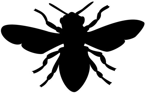 Bee Black Honey Vector Graphic