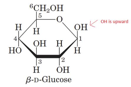 Alpha And Beta Glucose Ring Structure