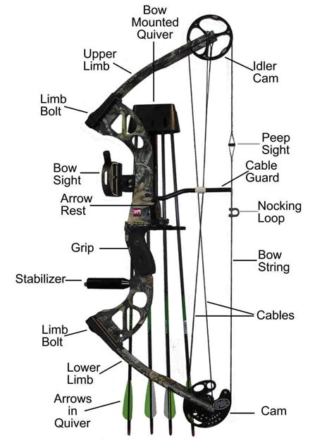 compound bow and its parts | Compound bow, Archery bows, Archery