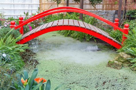 Wooden Bridge and a Small Pond in the Garden Stock Photo - Image of decorating, botany: 204798290