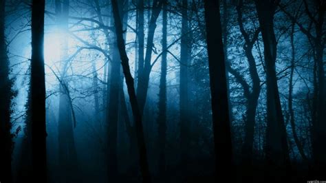 Creepy Forest Wallpapers - Top Free Creepy Forest Backgrounds - WallpaperAccess