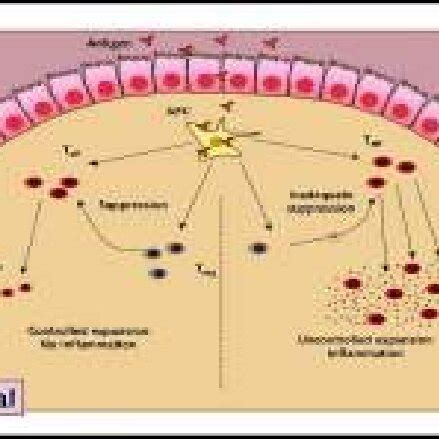 IBD Treatments :-Drugs in use, mode of action, and side effects. | Download Scientific Diagram