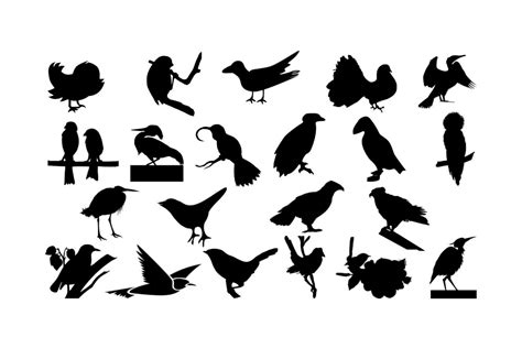 Bird SVG, Bird Silhouette | Animal Illustrations ~ Creative Market