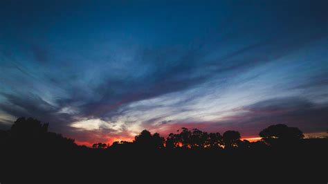 Wallpaper Sunset, sky, trees, night, silhouette 5120x2880 UHD 5K Picture, Image