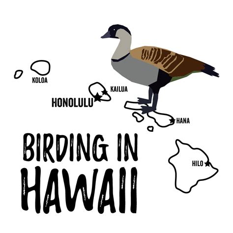 Birds in Hawaii - Bird Watching Academy