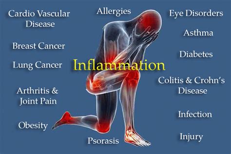 What is Inflammation in our Bodies, how can it affect us?