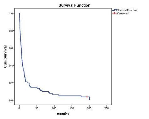 Total survival of all chemotherapy patients independent of the stage. | Download Scientific Diagram