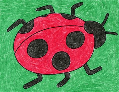 Easy How to Draw a Ladybug Tutorial and Ladybug Coloring Page — JINZZY