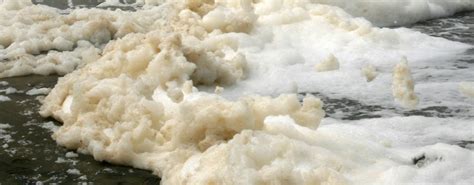 What is sea foam?