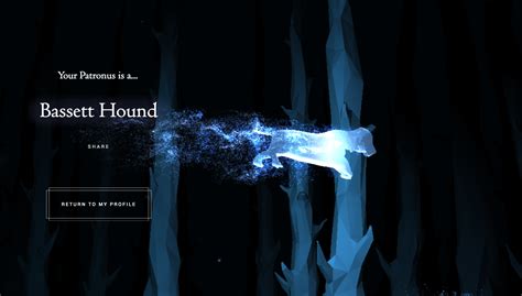 Bassett Hound Pottermore Patronus | Pottermore patronus, Patronus, Bassett hound