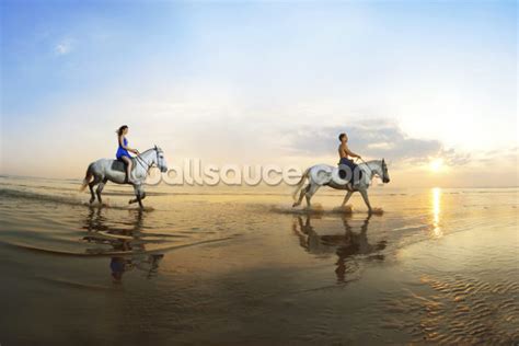 Beach Horse Riding Wallpaper Mural | Wallsauce US