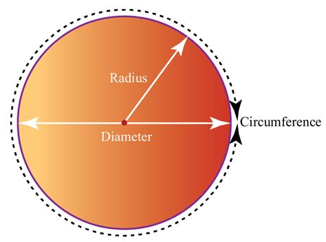 Diameter of Circle Definition, Formula, Examples & Worksheets - Cuemath