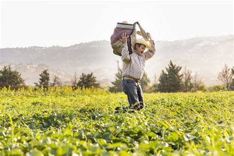 Organic Farming Practices - Rodale Institute