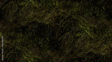 moss texture, seamless forest textures. Stock Photo | Adobe Stock