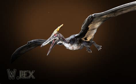 ArtStation - Pteranodon jurassi park 3