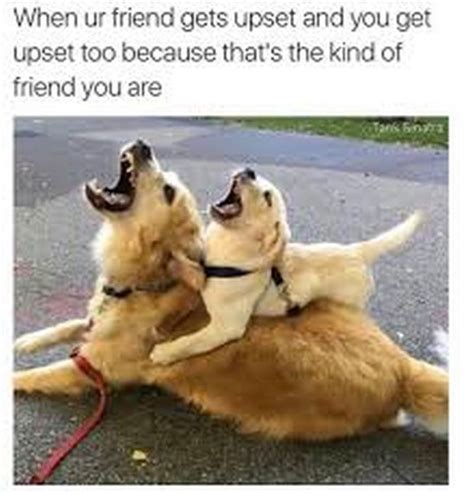 65 Funny Friend Memes - "When ur friend gets upset and you get upset too because that's the kind ...