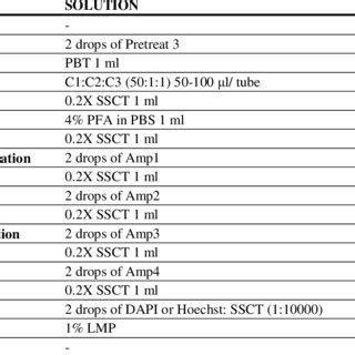 RNAscope protocol for zebrafish embryos at a glance | Download Table