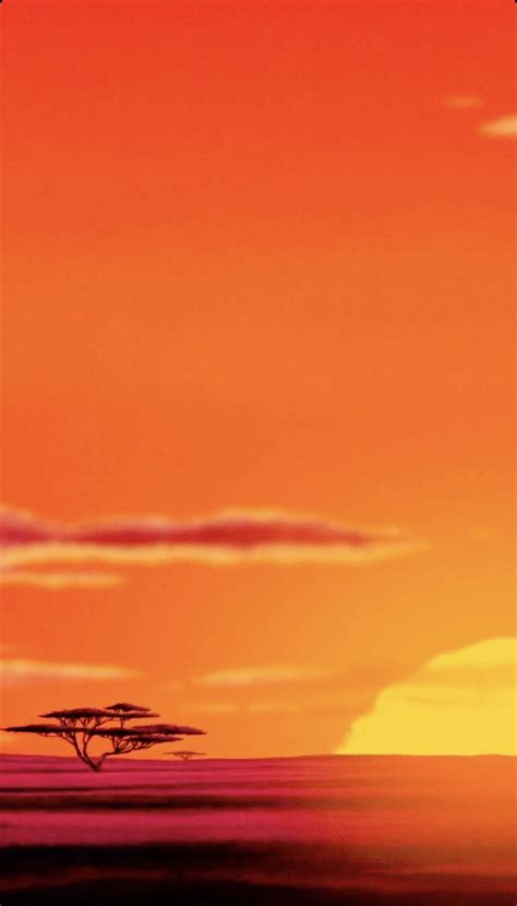 The Lion King Sunrise, Lion King Sunset HD phone wallpaper | Pxfuel