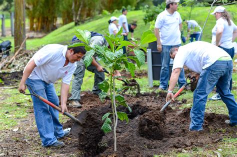 Now you can help plant trees while sitting on your ass