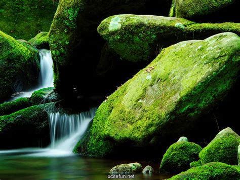 Green Nature Wallpaper Desktop - WallpaperSafari