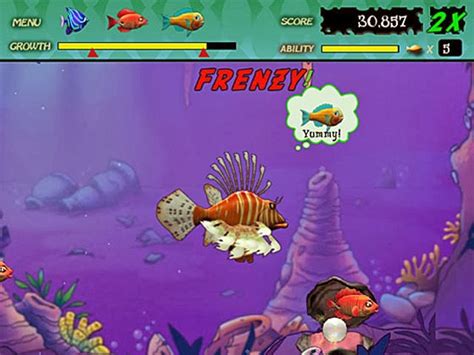 Feeding frenzy 2 full game free download - servetoo