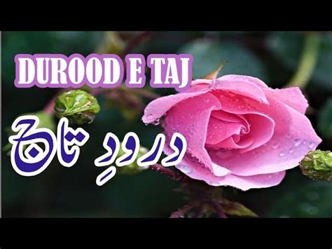 Durood-E-Taj - Alhaaj Hafiz Muhammad Tahir Qadri: Song Lyrics, Music ...