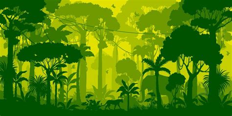 Jungle forest silhouette, rainforest background 24082057 Vector Art at Vecteezy