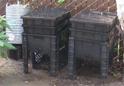 Harvesting Worm Castings from Bins | Central Coast Gardening