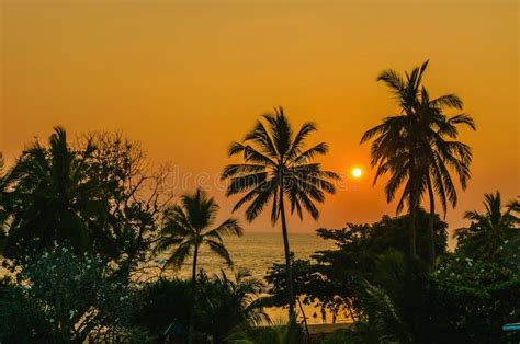 Romantic Sunset on Caribbean Beach with Palms Stock Image - Image of jamaica, evening: 54491247