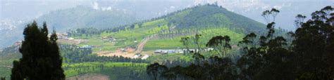 Doddabetta Peak Ooty, India | Best Time To Visit Doddabetta Peak