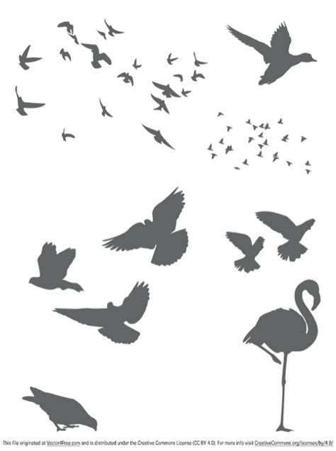 Free Vector Birds