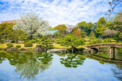 Best parks in Tokyo - Lonely Planet