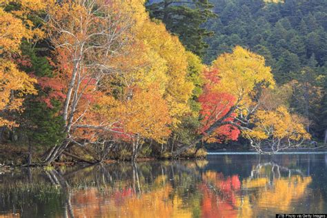 Why This Island In Japan Is The Best Place To See The Leaves Change | HuffPost Life