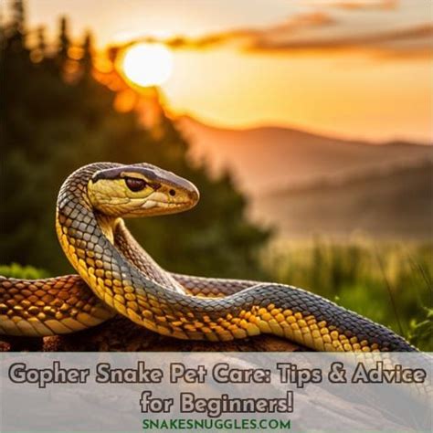 Gopher Snake Pet Care: Tips & Advice for Beginners!