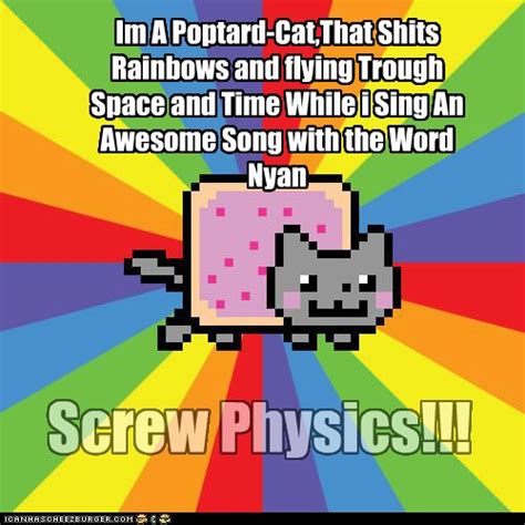 Nyan Cat Meme by TheRealFry1 on DeviantArt