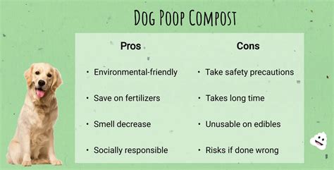 Dog Poop Compost: A Guide to Turning Waste into Fertilizer