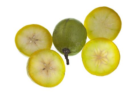 Umbrella Fruit stock photo. Image of lime, fruit, maturing - 34910630