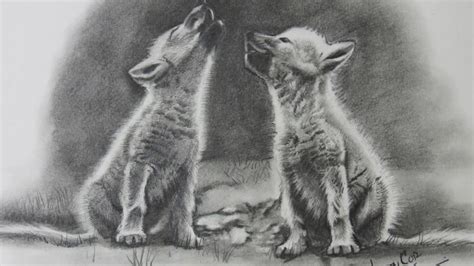 Realistic Baby Wolf Drawing ~ Drawing