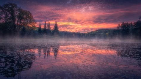 Lake Around Trees With Fog Under Purple Cloudy Sky During Sunset HD ...