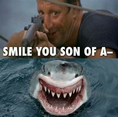 Jaws Quotes - ShortQuotes.cc