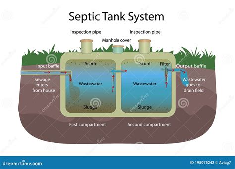 Septic Tank Problem Cartoon Vector | CartoonDealer.com #73783067