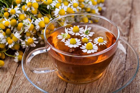 Does drinking chamomile tea really help people fall asleep? | Live Science