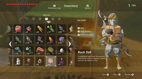 What Are The Cooking Recipes In Legend of Zelda: Breath of the Wild - Gamer Tweak