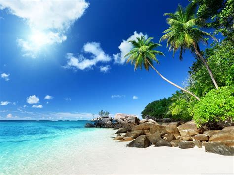 Paradise Beach Wallpapers - Top Free Paradise Beach Backgrounds - WallpaperAccess