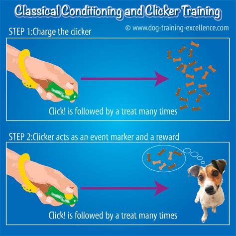 Clicker Training Guide