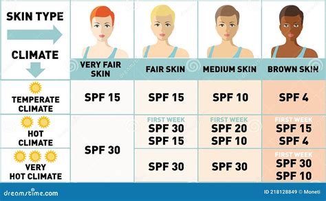 Protecting Your Skin from the Summer Sun. Infographics. Women with Different Skin Types Stock ...