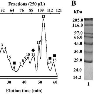 (A) Molecular exclusion chromatography of Latrodectus geometricus... | Download Scientific Diagram