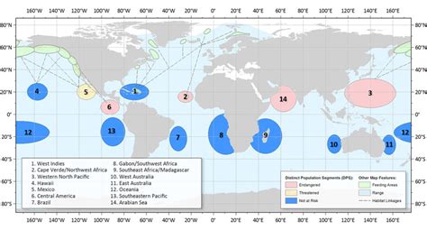 Humpback Whale Distinct Population Segments Identification Map | NOAA Fisheries