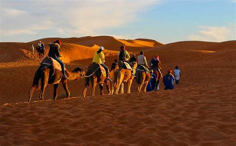 Desert Festival in Jaisalmer 2020 | Festival in Jaisalmer | Jaisalmer Desert Festival in India