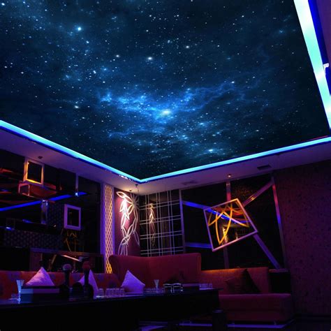 Night Sky Ceiling Mural - Mural Wall